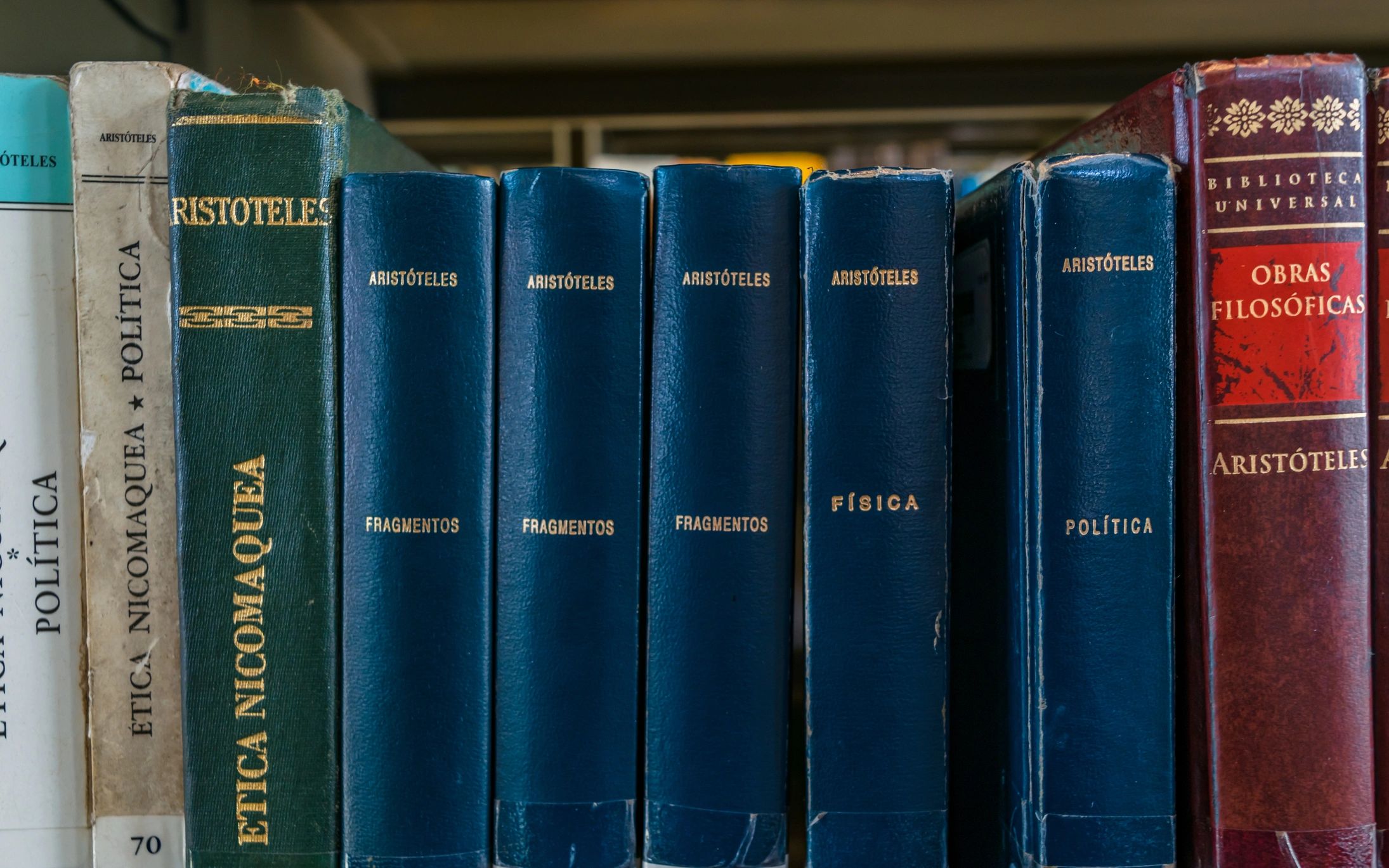 Library shelves suggesting archival research context