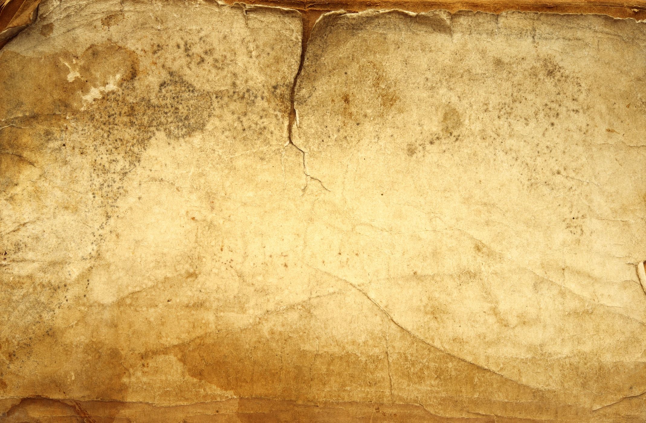 Grunge vintage paper texture resembling manuscript material